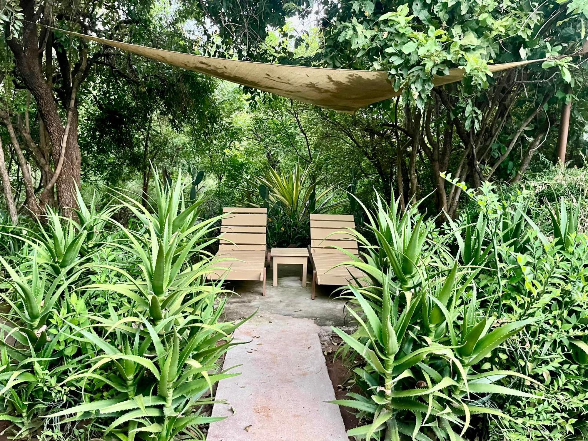 מלון Maua Ikweta Safari Camp מראה חיצוני תמונה