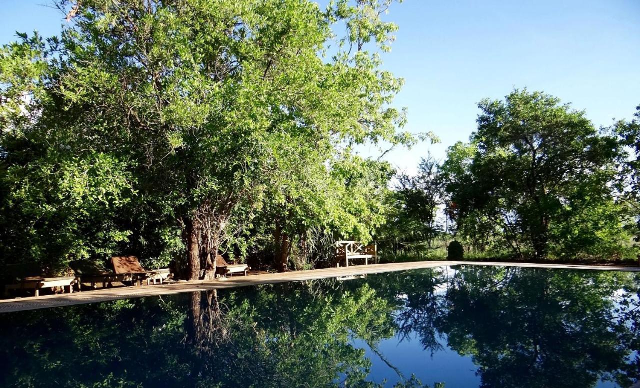 מלון Maua Ikweta Safari Camp מראה חיצוני תמונה